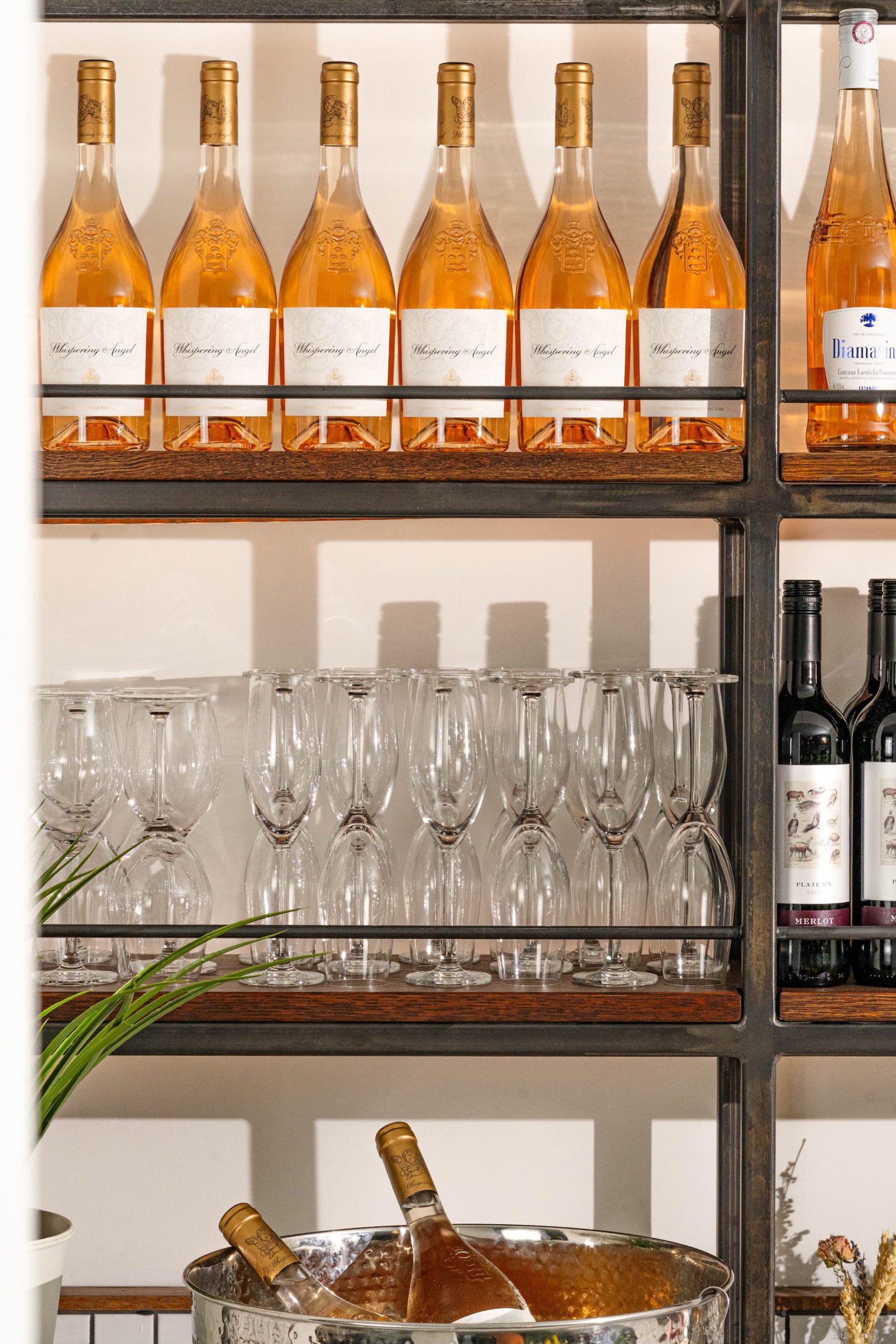 Whispering Angel Dotties